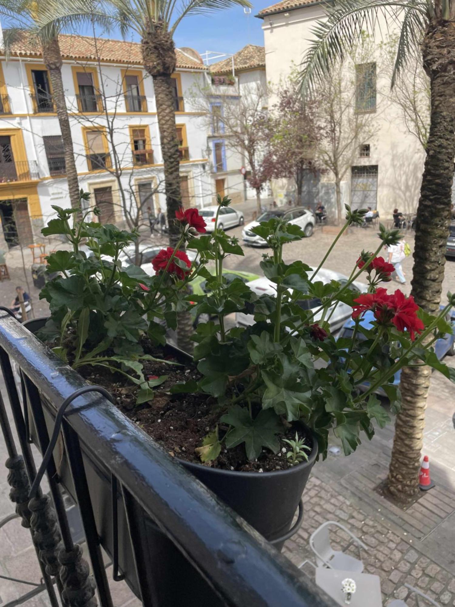 Apartamento Centrico Corredera Córdoba Exterior foto